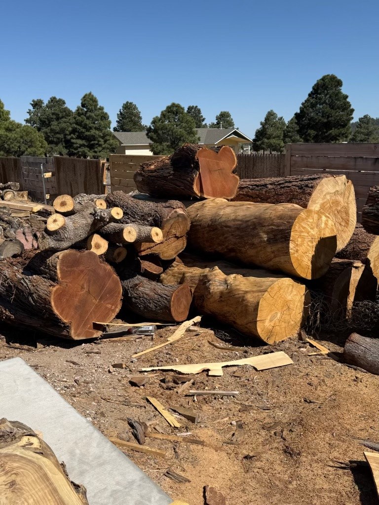 Cut logs stacked in the yard before milling