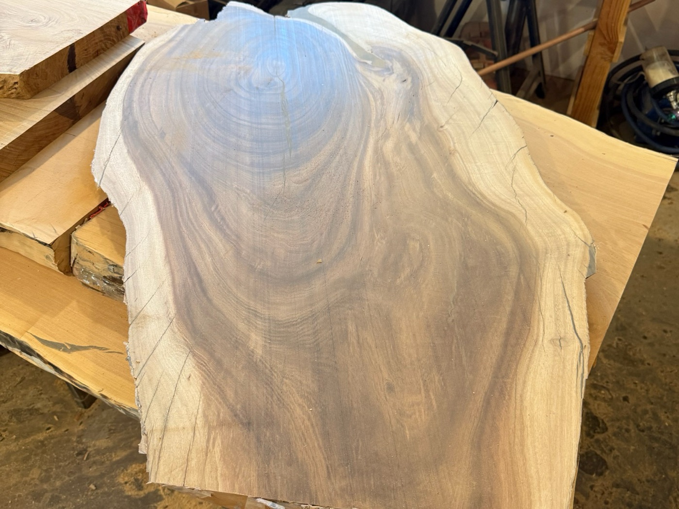 A figured Arizona hardwood slab on the studio floor
