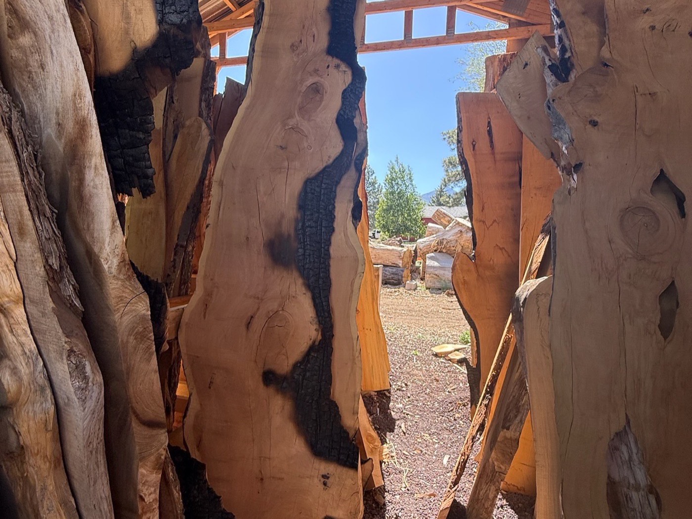 Live-edge slabs leaning in the rack, framing the Arizona sky