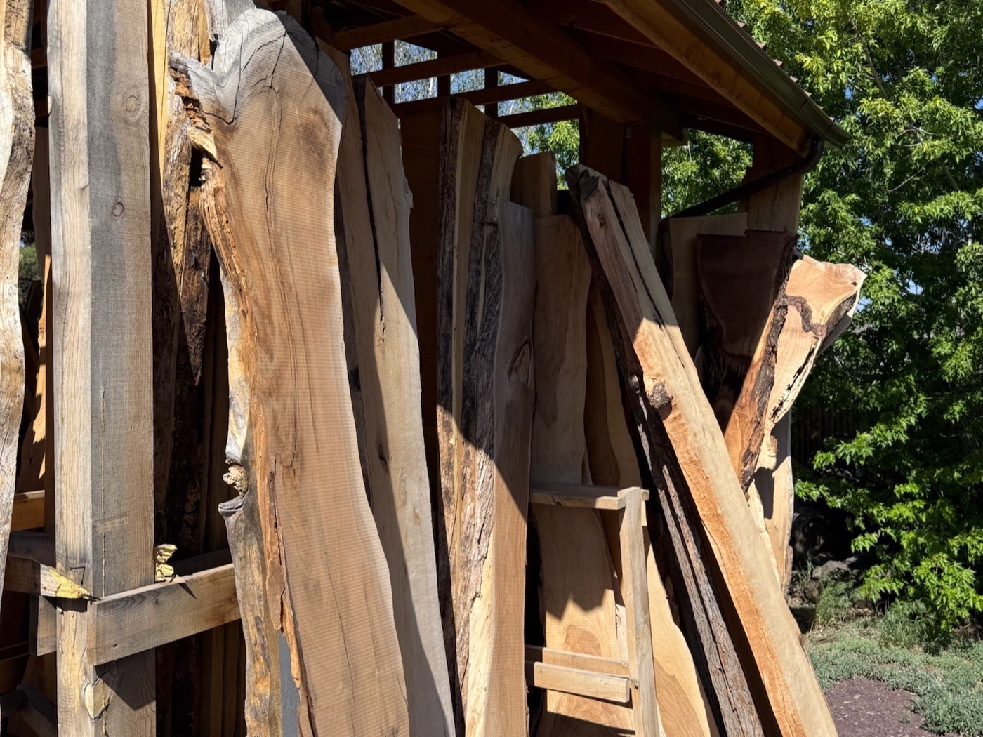 Live-edge slabs racked under the studio shed