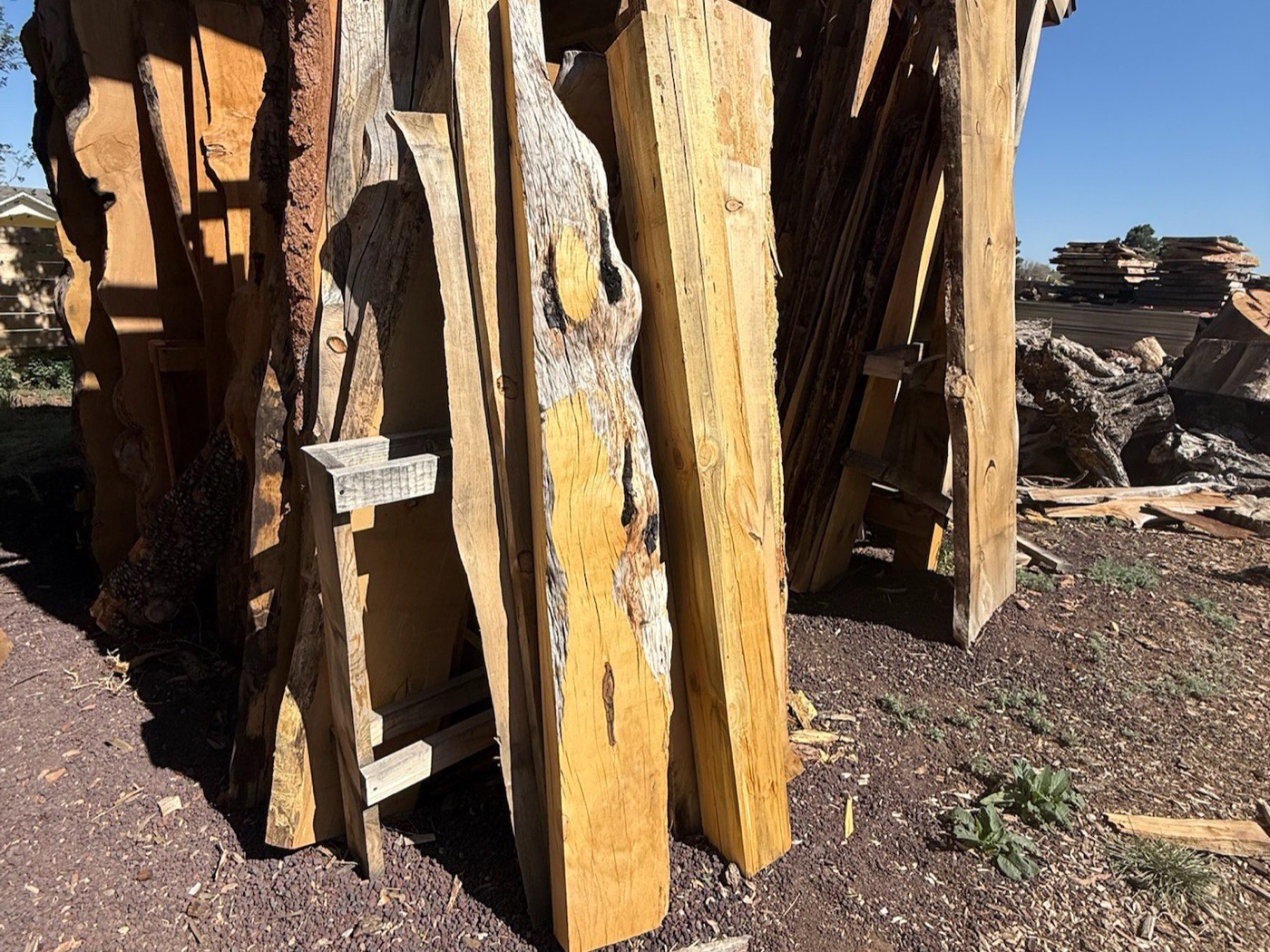 Honey-toned live-edge slabs leaning in the yard