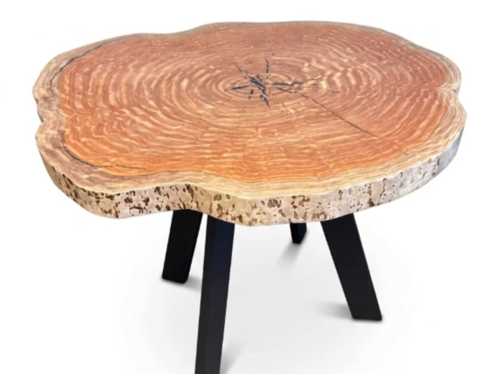 Microtheca round live-edge side table on a splayed steel base